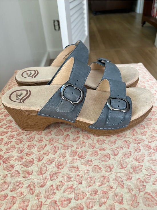 Dansko Shoes - Dansko Blue Leather Slide Sandals